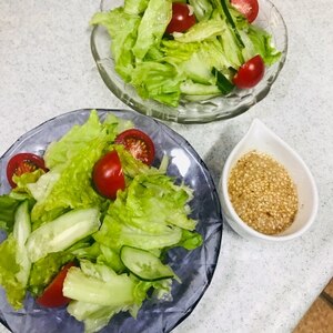 サニーレタスとトマトときゅうりの野菜サラダ